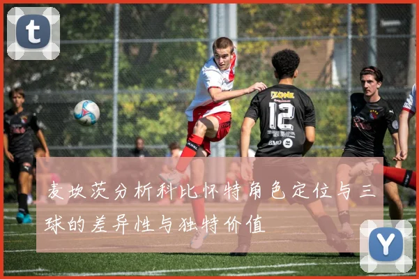 麦坎茨分析科比怀特角色定位与三球的差异性与独特价值
