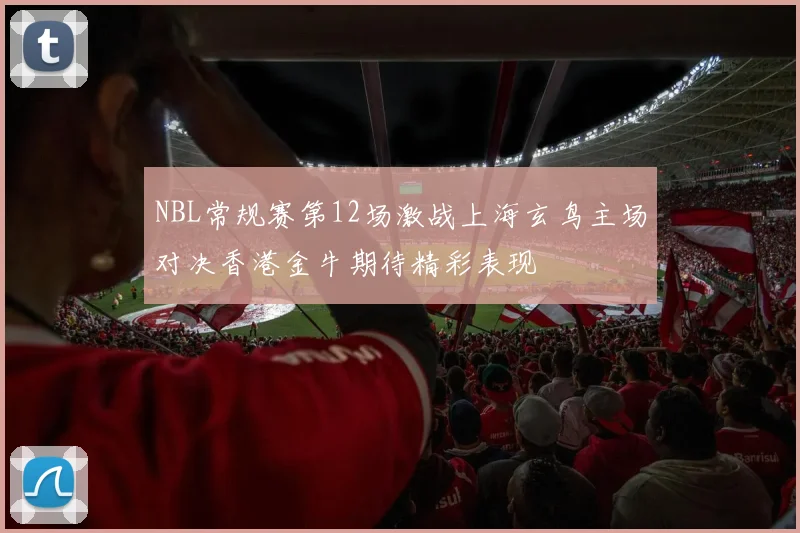 NBL常规赛第12场激战上海玄鸟主场对决香港金牛期待精彩表现