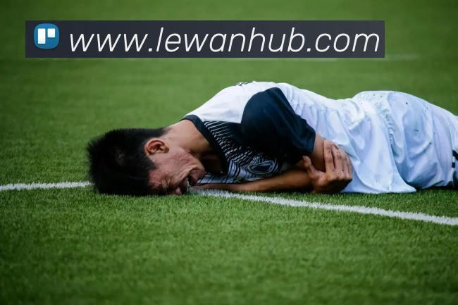 乐玩体育服务体系